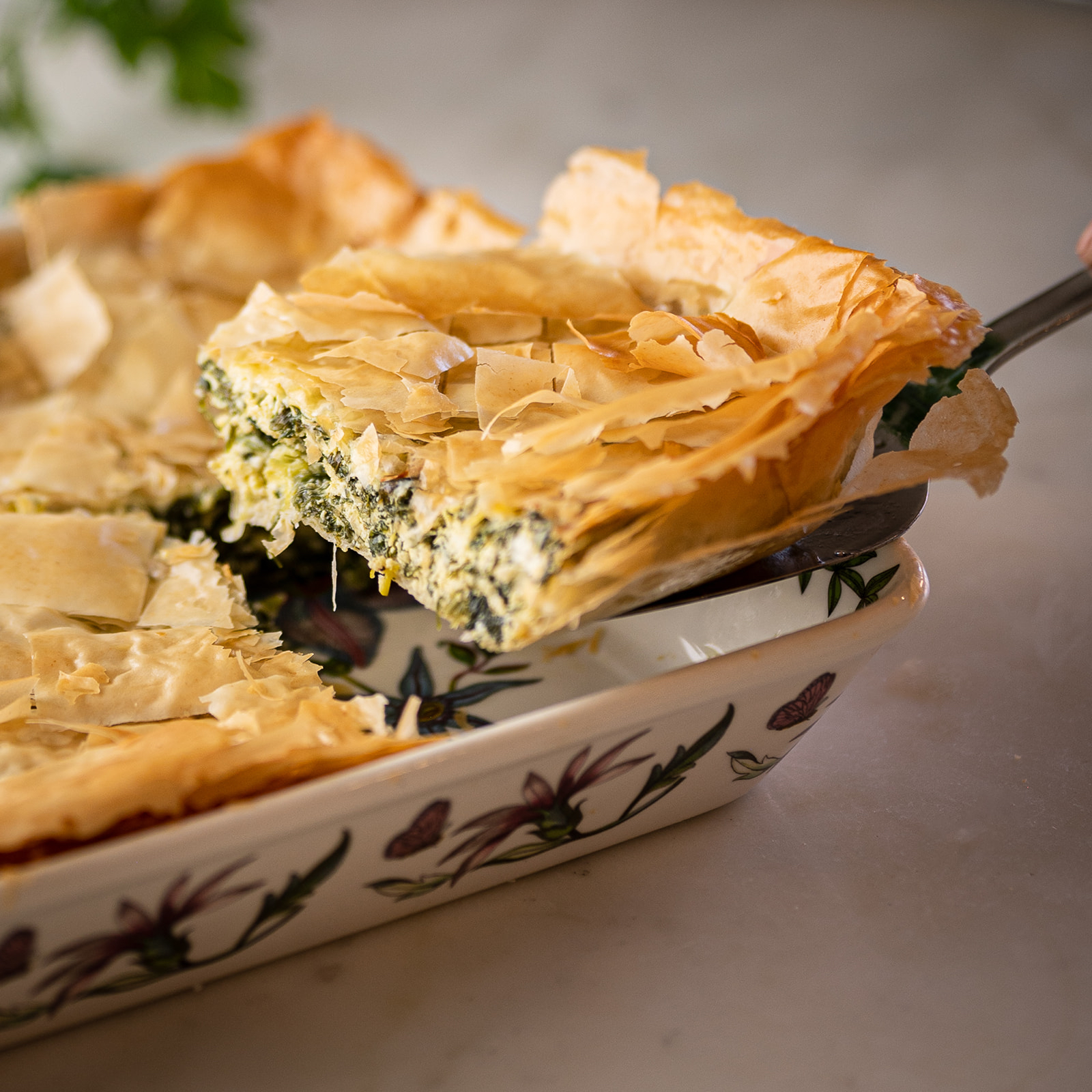 Ricotta, Herb, and Greens Filo Pie